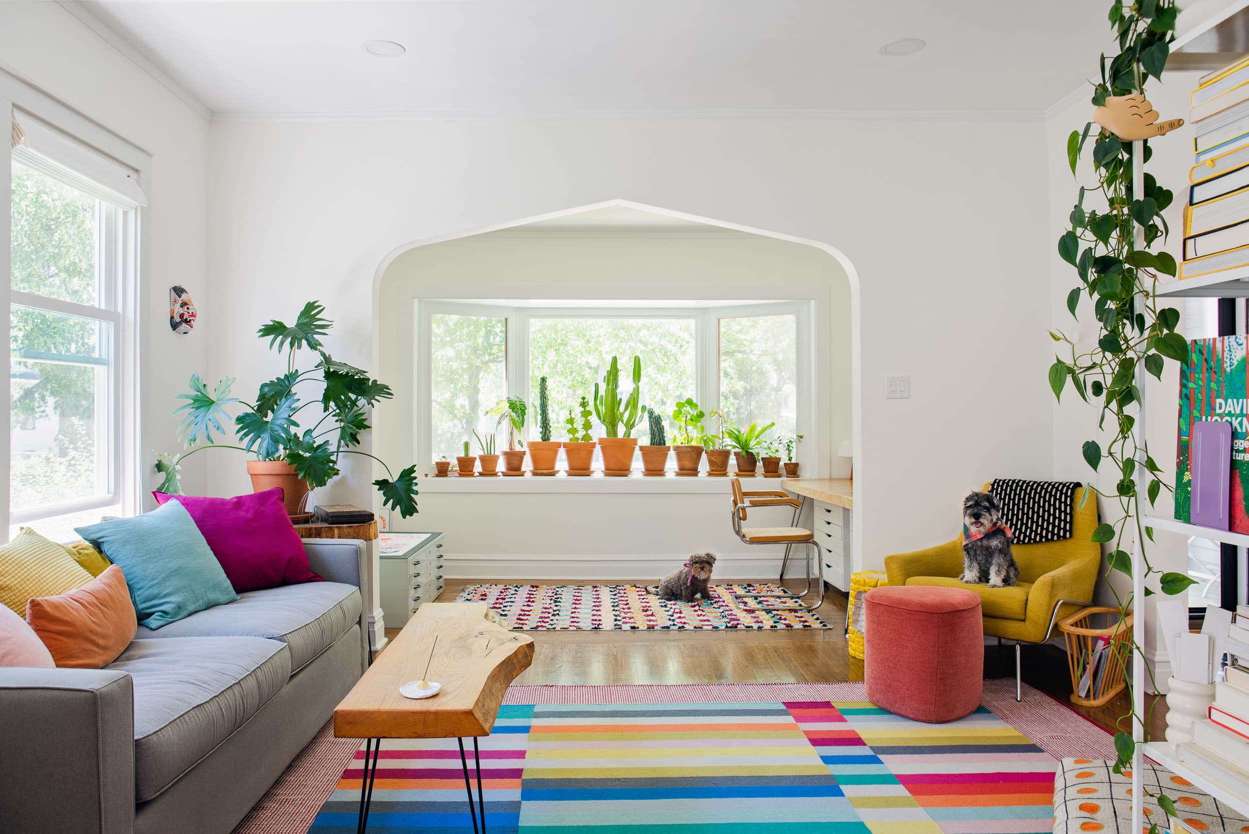 その他 how2work Daydreamer a colourful house how2work Daydreamer a colourful house